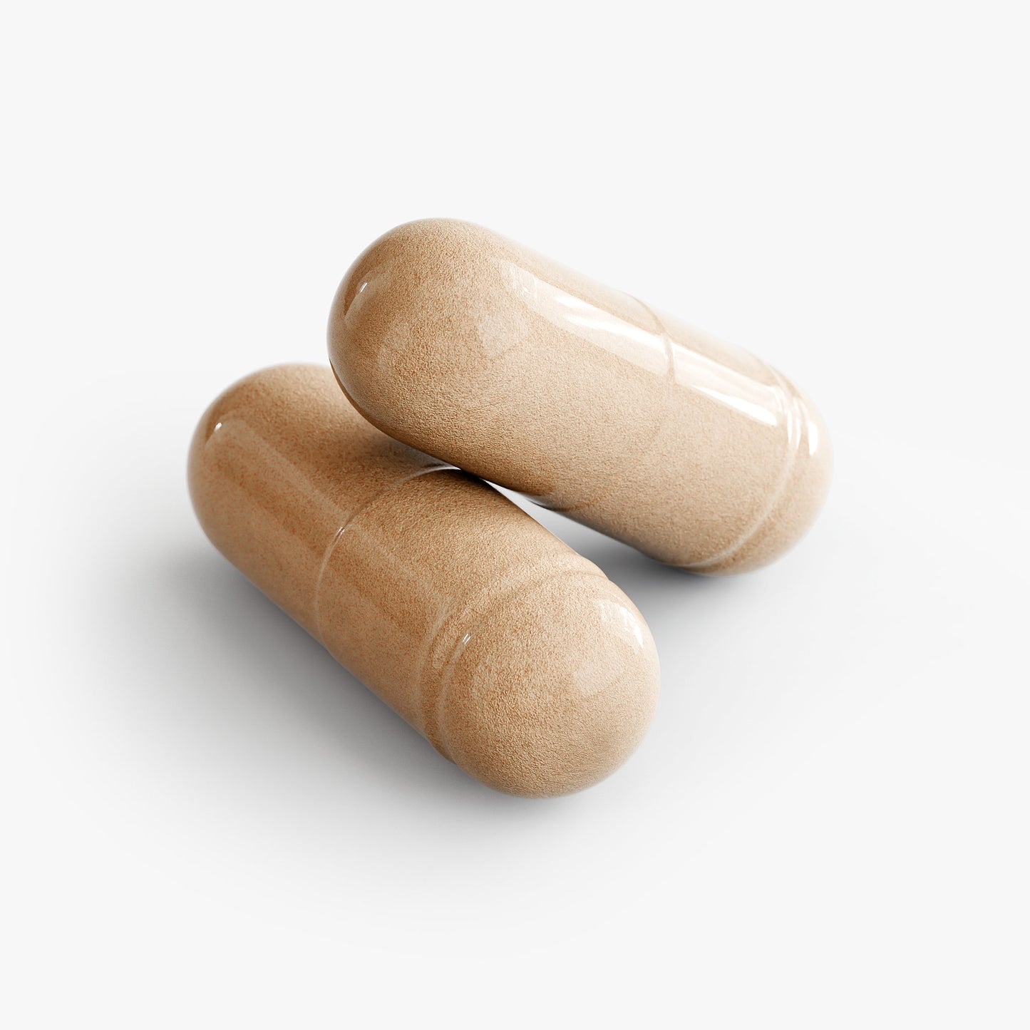 Fists of Fungi (10x Mushroom Blend)