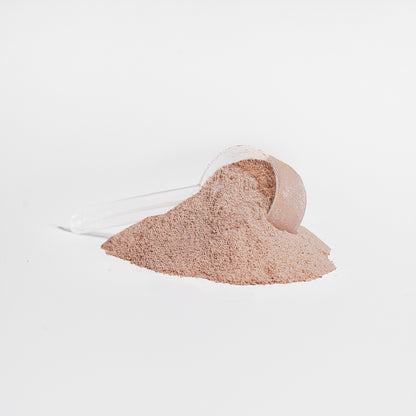 StoneSlinger Grass-Fed Collagen Peptides (Chocolate)